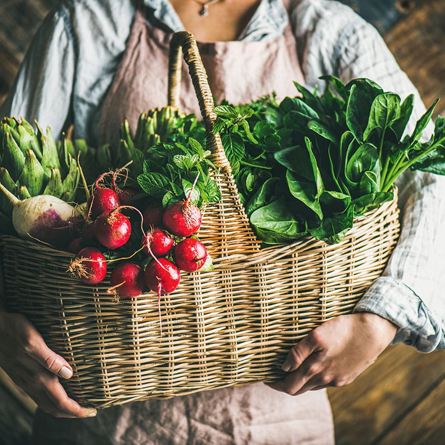 food & life Erntezeit